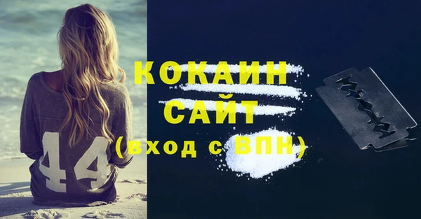 гидра Бородино