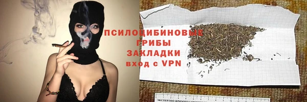 гидра Бородино