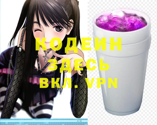 дживик Бронницы