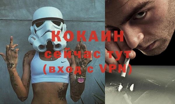 дживик Бронницы