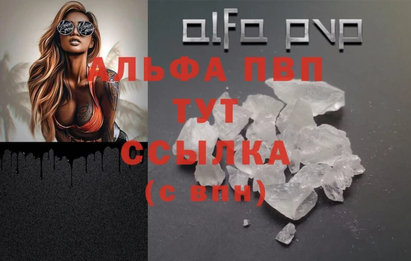 гидра Бородино