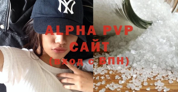 гидра Бородино