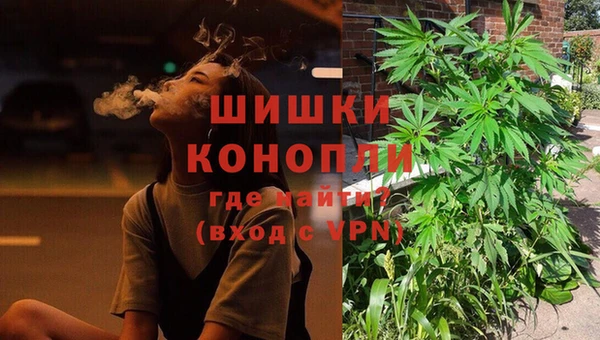 гидра Бородино